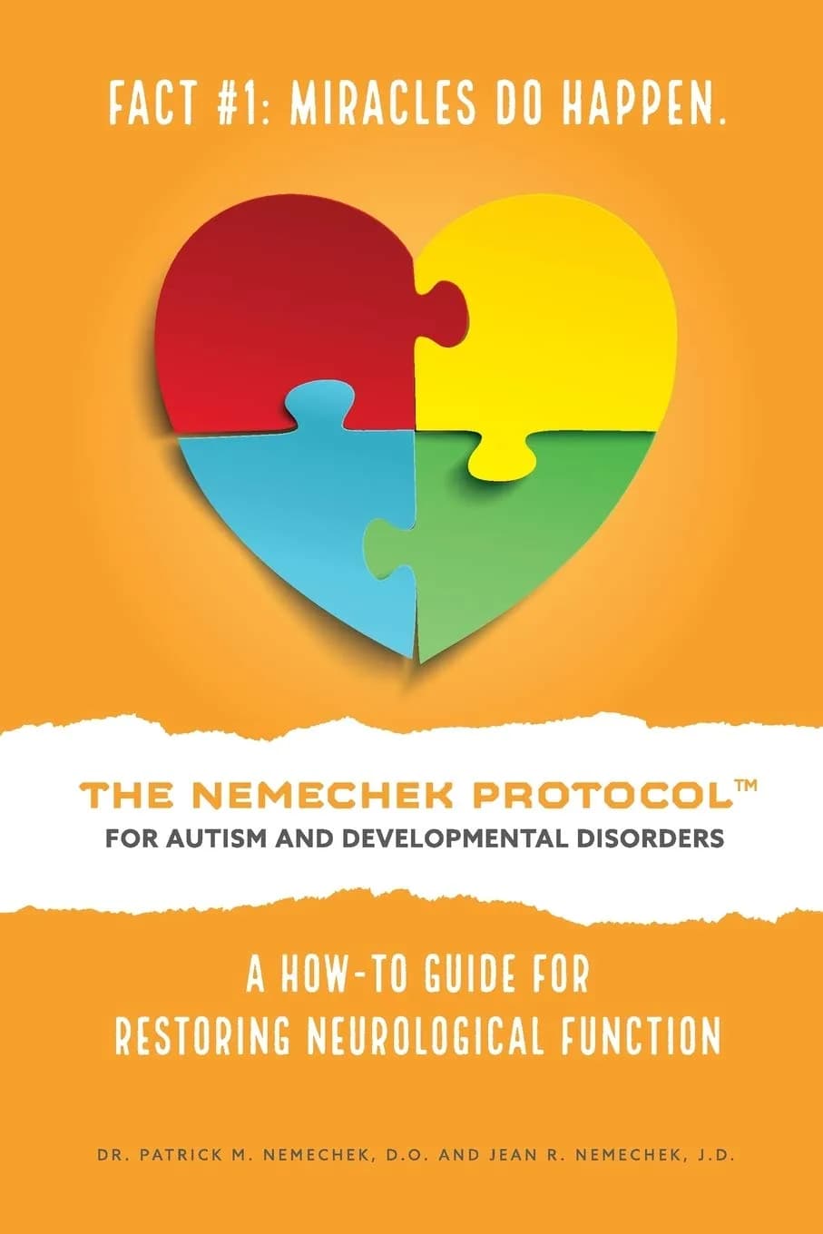 The Nemechek Protocol for Autism and Developmental Disorders: A How-To Guide for Restoring Neurological Function (200 Pages) - main product image
