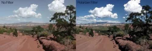 Tiffen 49mm Linear Polarizer Filter | Reduce Glare & Haze, Increase Contrast & Color Saturation thumbnail 6