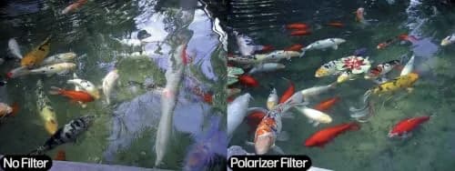 Tiffen 52mm Linear Polarizer Filter | Reduce Haze & Glare, Increase Contrast, Increase Color Saturation thumbnail 2
