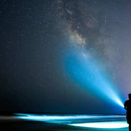 MagLite 5-Cell D Incandescent Flashlight 17.13 inches (43.99 cm) | High-Intensity Xenon Bulb, 364m Beam Distance thumbnail 2