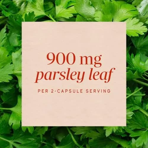 Nature's Way Parsley Leaf Dietary Supplement 100 ct | Supports Chlorophyll & Herbal Tradition thumbnail 4