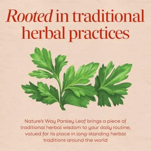 Nature's Way Parsley Leaf Dietary Supplement 100 ct | Supports Chlorophyll & Herbal Tradition thumbnail 3