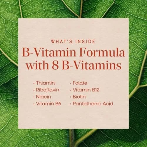 Nature's Way B-50 Complex Supports Cellular Energy & Nerve Health 100 Capsules | Gluten Free thumbnail 4
