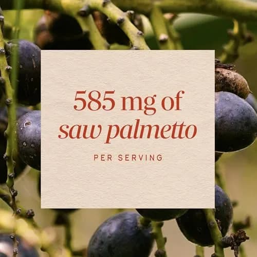 Nature's Way Saw Palmetto Berries Prostate Support 180 Count | Traditional Herbal Supplement for Men thumbnail 4