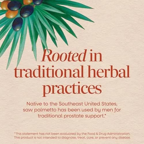 Nature's Way Saw Palmetto Berries Herbal Supplement 100 Count | Traditional Prostate Support thumbnail 3