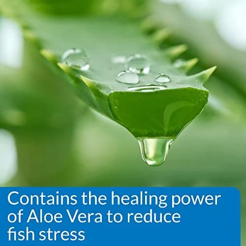 API Stress Coat Aquarium Water Conditioner 473ml (16 fl oz) | Dual-Action Formula Protects Fish thumbnail 4
