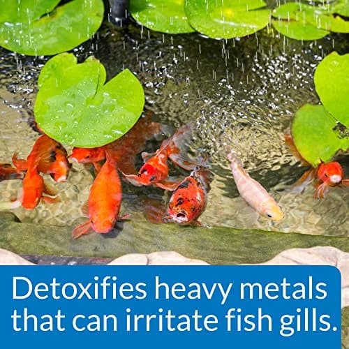 API Pond Chlorine & Heavy Metal Neutralizer 16oz | Instantly Removes Harmful Chemicals for Pond Safety thumbnail 4