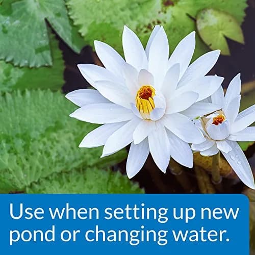 API Pond Chlorine & Heavy Metal Neutralizer 16oz | Instantly Removes Harmful Chemicals for Pond Safety thumbnail 2