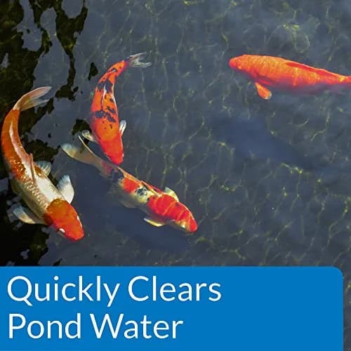 API ACCU-CLEAR Pond Water Clarifier 473ml (16 fl oz) | Clears Cloudy Water & Improves Filter Efficiency thumbnail 3