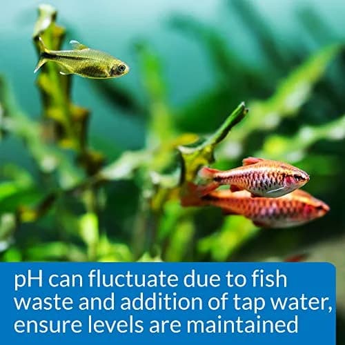 API pH TEST KIT 250-Test Freshwater Aquarium Water pH Test Kit | Easy Weekly Monitoring thumbnail 4