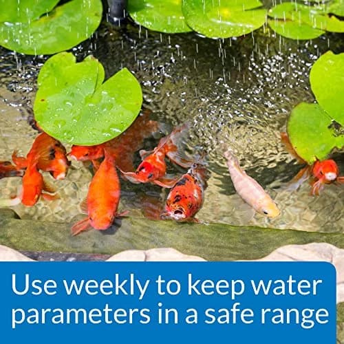 API Pond Wide Range pH Test Kit 160 Tests | Accurate Water Testing for Fish & Pond Care thumbnail 2
