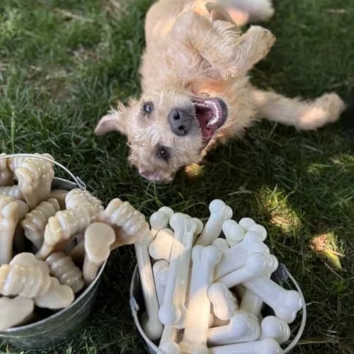 Nylabone Power Chew Original Bone Dog Chew Toy, Chicken Flavor, Medium | Durable Nylon Chew Toy for Aggressive Chewers thumbnail 6