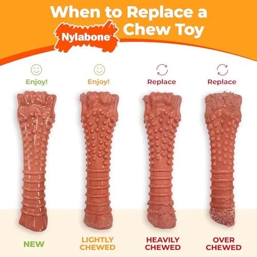 Nylabone Power Chew Original Bone Dog Chew Toy, Chicken Flavor, Medium | Durable Nylon Chew Toy for Aggressive Chewers thumbnail 7