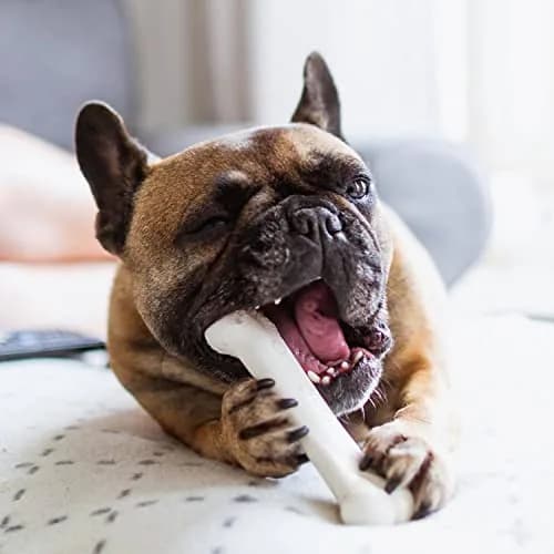 Nylabone Power Chew Original Bone Dog Chew Toy, Chicken Flavor, Medium | Durable Nylon Chew Toy for Aggressive Chewers thumbnail 2