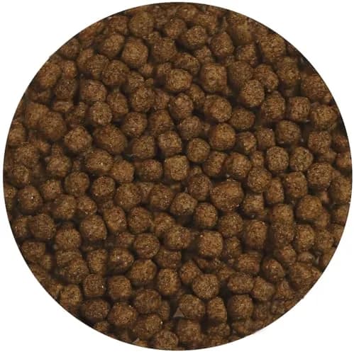 Zoo Med Growth Formula Aquatic Turtle Food Pellets 368 g (13 oz) | Low Protein Floating Pellets for Growth thumbnail 2
