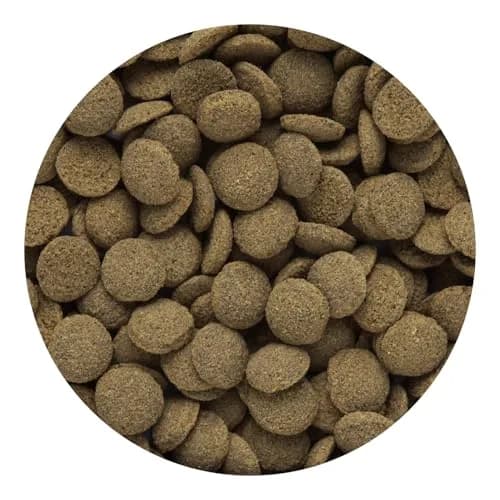 Hikari Sinking Wafers for Bottom-Feeding Tropical Fish 110g | Nutritious, Easy to Digest, USA Import thumbnail 2