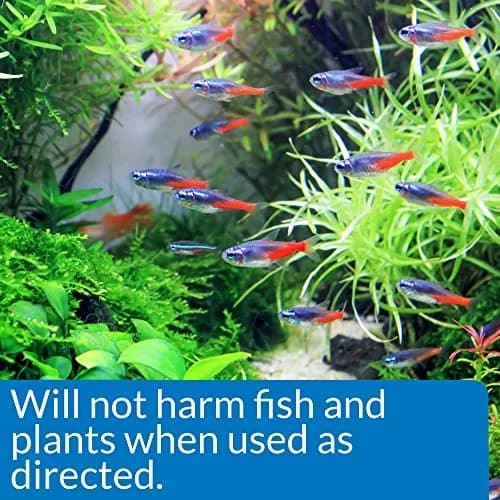 API ALGAEFIX Algae Control 118ml (4-Ounce) | Controls Green Water, String & Hair Algae thumbnail 4