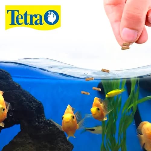 Tetra Cichlid Floating Cichlid Sticks Fish Food, 11.3 oz | Balanced Nutrition for Large Aquarium Fish thumbnail 2