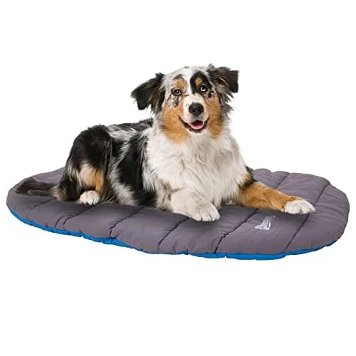 Chuckit! Travel Pillow Dog Bed Water Resistant Blue/Grey 76cm x 90cm (30" x 39") | Portable Comfort for Medium to Large Dogs thumbnail 6