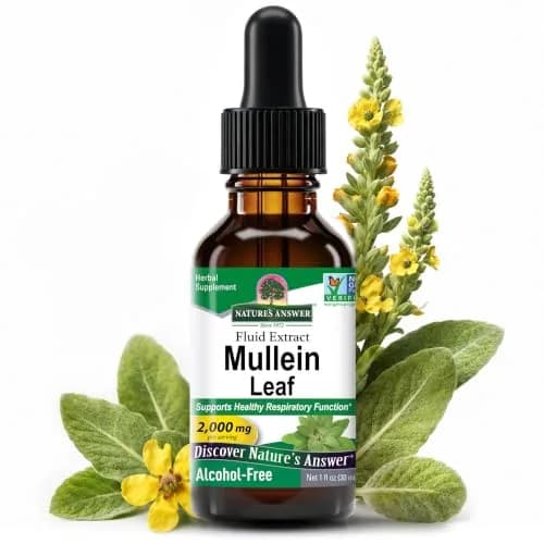 Nature's Answer Mullein Leaf Herbal Supplement 1 fl oz (29.57 ml) | Supports Respiratory Health thumbnail 1