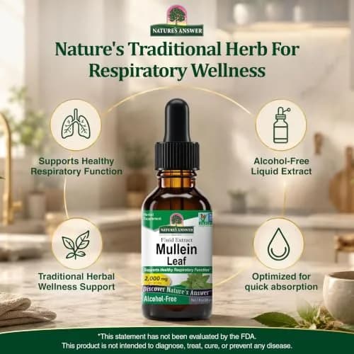 Nature's Answer Mullein Leaf Herbal Supplement 1 fl oz (29.57 ml) | Supports Respiratory Health thumbnail 7