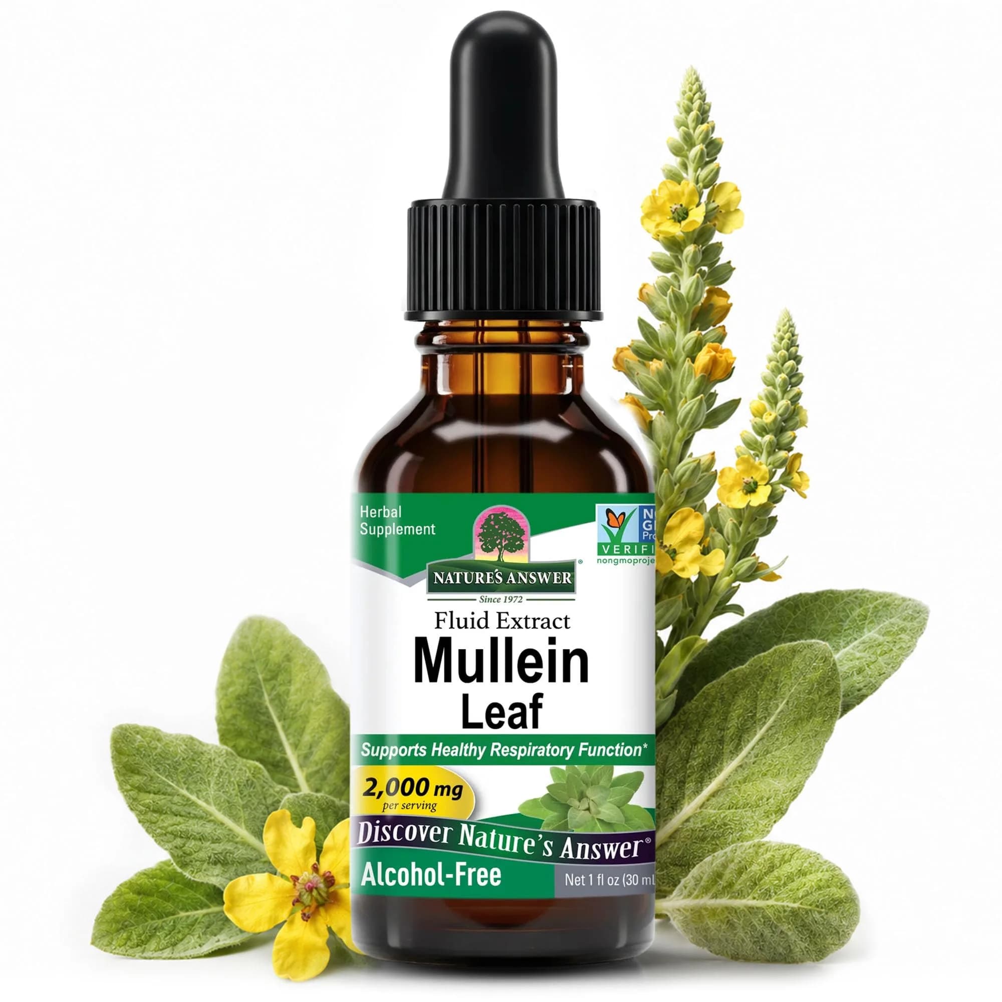 Nature's Answer Mullein Leaf Herbal Supplement 1 fl oz (29.57 ml) | Supports Respiratory Health - main product image