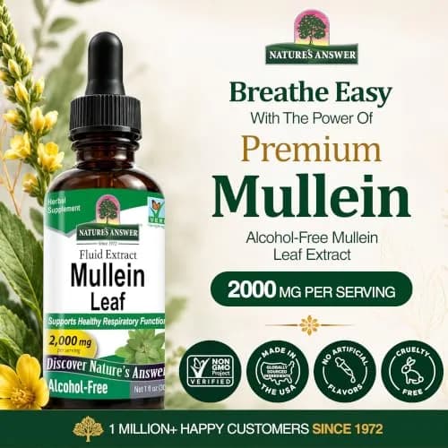Nature's Answer Mullein Leaf Herbal Supplement 1 fl oz (29.57 ml) | Supports Respiratory Health thumbnail 2