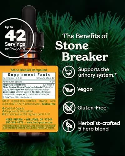 Herb Pharm Stone Breaker Chanca Piedra Liquid Extract 1 oz (30 ml) | Supports Urinary System thumbnail 2