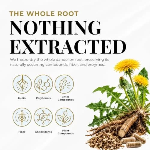 ECLECTIC INSTITUTE Dandelion Root Capsules 90 CT | Liver Detox & Digestive Support thumbnail 4