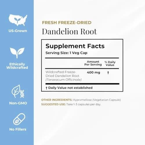 ECLECTIC INSTITUTE Dandelion Root Capsules 90 CT | Liver Detox & Digestive Support thumbnail 8