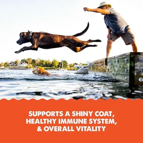 Grizzly Salmon Plus Omega 3-6-9 Food Supplement for Dogs & Cats, 4 oz thumbnail 4