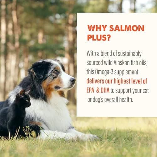 Grizzly Salmon Plus Omega 3-6-9 Food Supplement for Dogs & Cats, 4 oz thumbnail 5