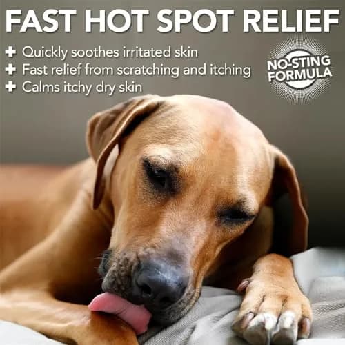 Vet's Best Dog Hot Spot Itch Relief Spray, 16 oz | No-Alcohol, Soothes Skin, Fast Relief thumbnail 2