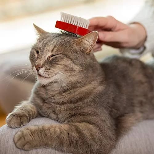 Vet's Best Waterless Cat Bath Dry Shampoo 4 oz | No-Rinse Formula for Sensitive Skin thumbnail 5