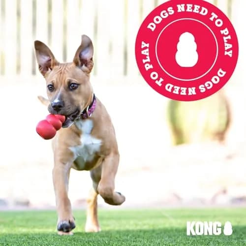 KONG Extreme Goodie Bone | Durable Natural Rubber Chew Toy for Medium Dogs thumbnail 7