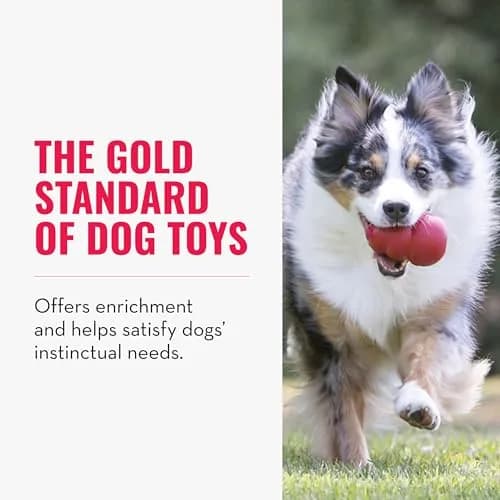 KONG Classic Stuffable Dog Toy XX-Large | Durable Natural Rubber Chew Toy for Aggressive Chewers thumbnail 3