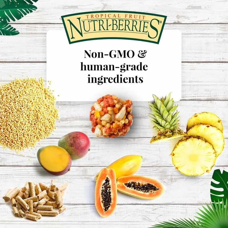 LAFEBER'S Tropical Fruit Nutri-Berries Pet Bird Food 283.5 g (10 oz) | Nutritionally Complete Foraging Diet thumbnail 3
