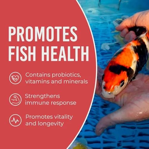 Blue Ridge Koi Fish Food 2lb - Mini Growth Formula Floating Pellets | Premium Koi & Goldfish Food for Ponds thumbnail 6
