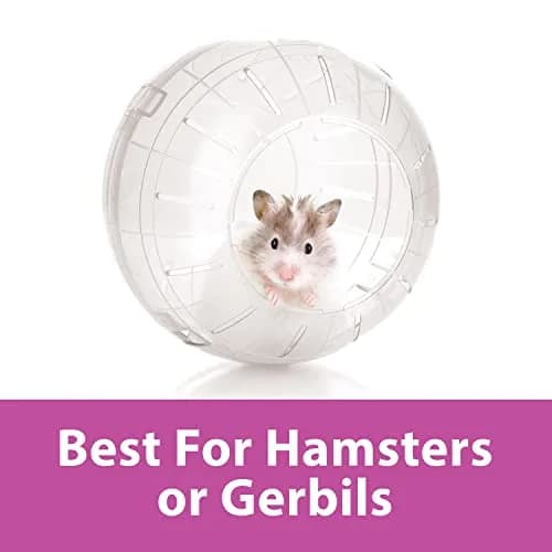 Kaytee 7" Clear Run-About Exercise Ball for Hamster & Gerbil Pets | Safe, Durable Polycarbonate, 7-Inch Diameter, Clear thumbnail 4