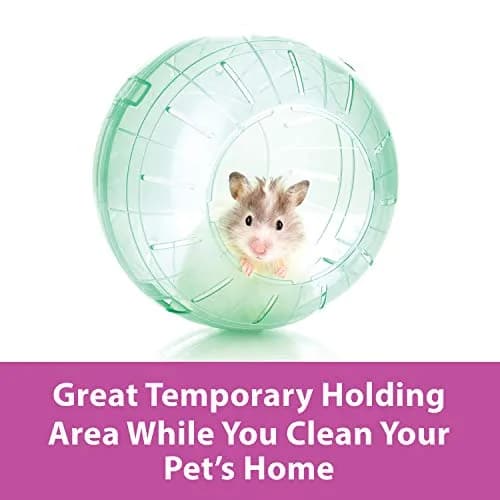 Kaytee 7" Clear Run-About Exercise Ball for Hamster & Gerbil Pets | Safe, Durable Polycarbonate, 7-Inch Diameter, Clear thumbnail 3