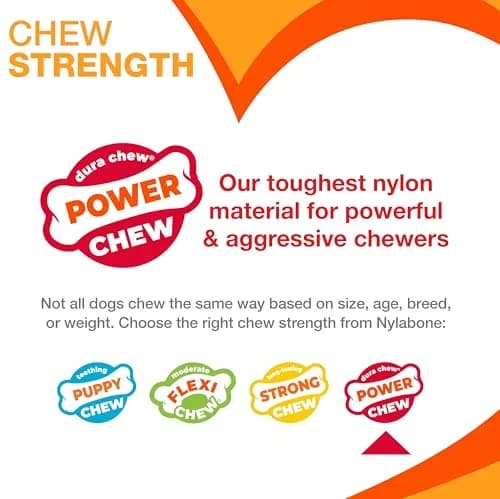 Nylabone Power Chew Original Bone Dog Chew Toy, Chicken Flavor, Small | Durable Chew Toy for Small Dogs Up to 25 lbs thumbnail 4