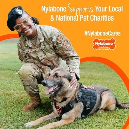 Nylabone Power Chew Original Bone Dog Chew Toy, Chicken Flavor, Small | Durable Chew Toy for Small Dogs Up to 25 lbs thumbnail 9
