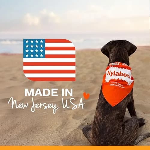 Nylabone Power Chew Classic Bone Dog Toy, Durable for Aggressive Chewers, Chicken Flavor, Large/Giant (Up to 50 lbs) thumbnail 7