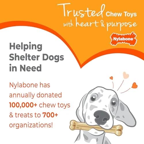 Nylabone Puppy Chew Teething Knuckle Bone Dog Chew Toy, Chicken Flavor, X-Large (0.35 lb) thumbnail 9