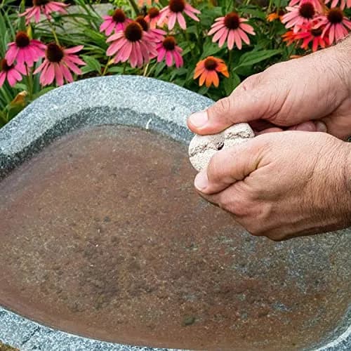Summit Pond Mosquito Dunks 2 Pack | Natural Larvicide for Standing Water thumbnail 4