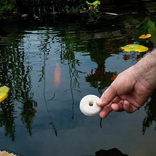 Summit Pond Mosquito Dunks 2 Pack | Natural Larvicide for Standing Water thumbnail 2
