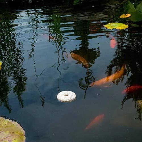 Summit Pond Mosquito Dunks 2 Pack | Natural Larvicide for Standing Water thumbnail 3