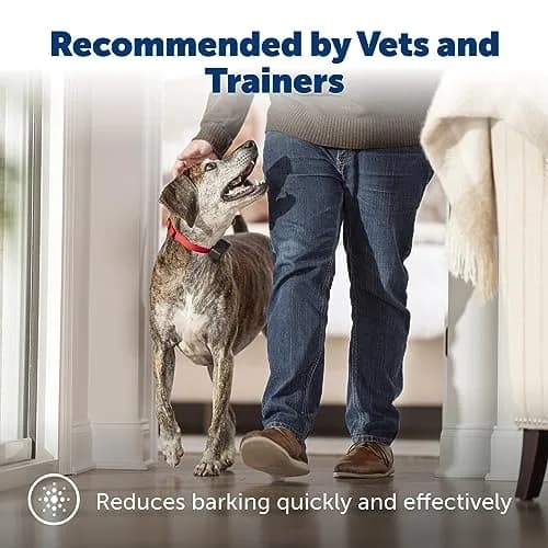 PetSafe Basic Bark Control Collar Adjustable | Safe, Waterproof, 6 Correction Levels thumbnail 2