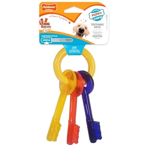 Nylabone Puppy Chew Teething Key Ring Dog Chew Toy, Bacon Flavor, Small | Soothes Gums & Cleans Teeth thumbnail 1