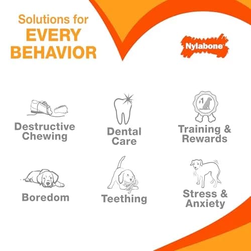 Nylabone Puppy Chew Teething Key Ring Dog Chew Toy, Bacon Flavor, Small | Soothes Gums & Cleans Teeth thumbnail 6